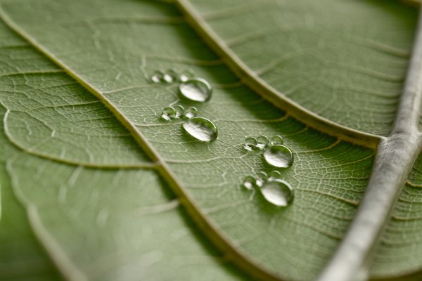 Recognising procurement as the catalyst for change