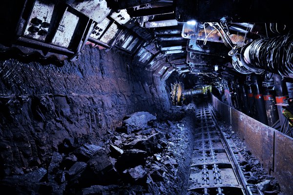 Category Insights & Outlook: Metals