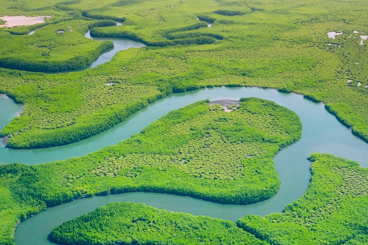 Le guide en 10 étapes du Directeur des achats pour des achats durables