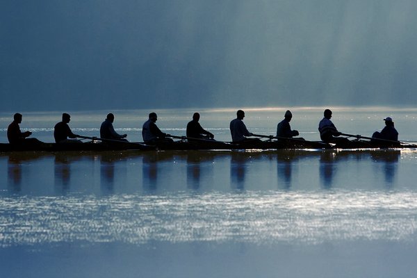 Dépassement des objectifs d'économies : Donner vie à la fonction achats de Kantar