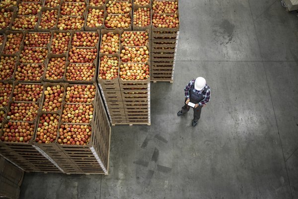 Optimising a complex inbound supply chain for a post-merger food distributor