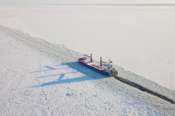 Sostenibilità aziendale: il ruolo cruciale del procurement per tradurre in realtà la strategia per uno sviluppo sostenibile