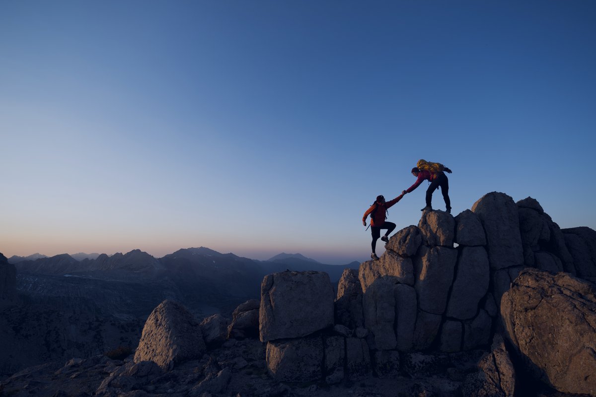 Warum bittet der Einkauf nicht um die Unterstützung, die er braucht?