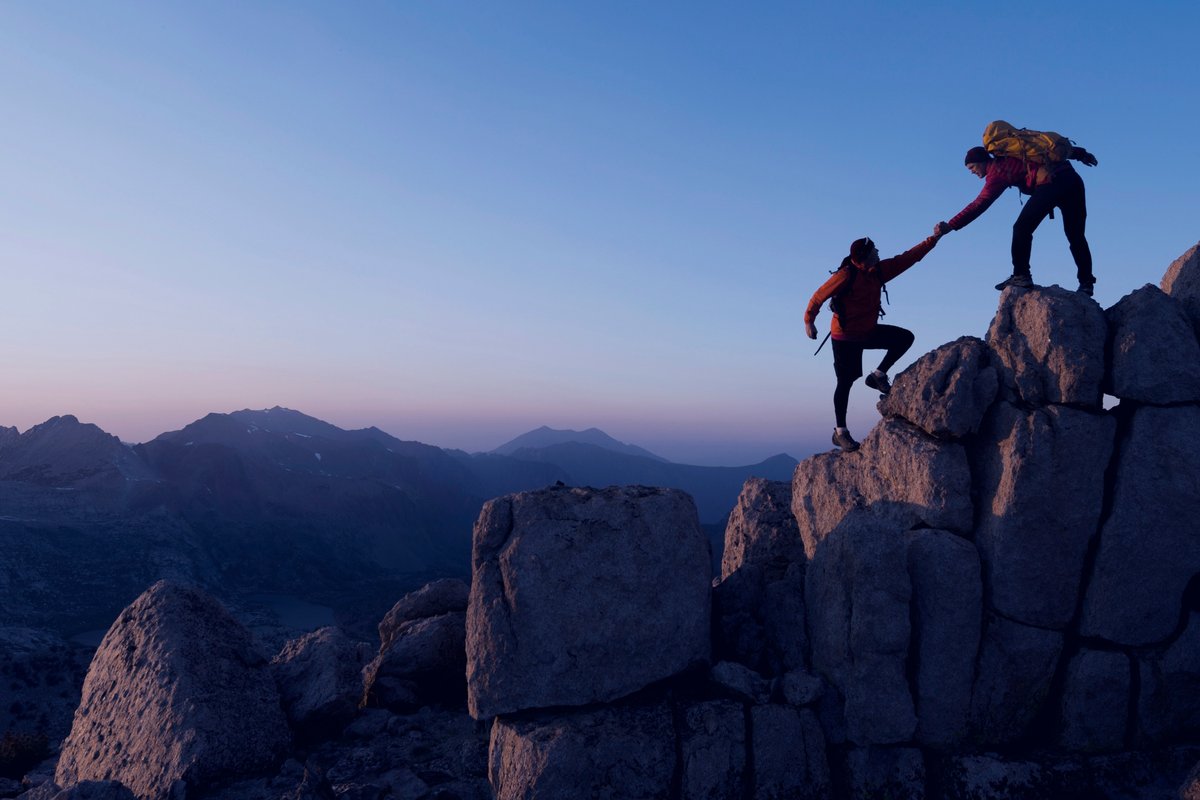 Why won't procurement ask for help?