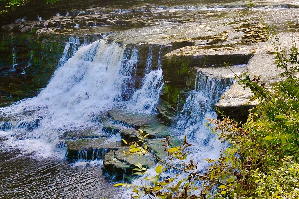 Procurement più sostenibile: la trasformazione di Yorkshire Water